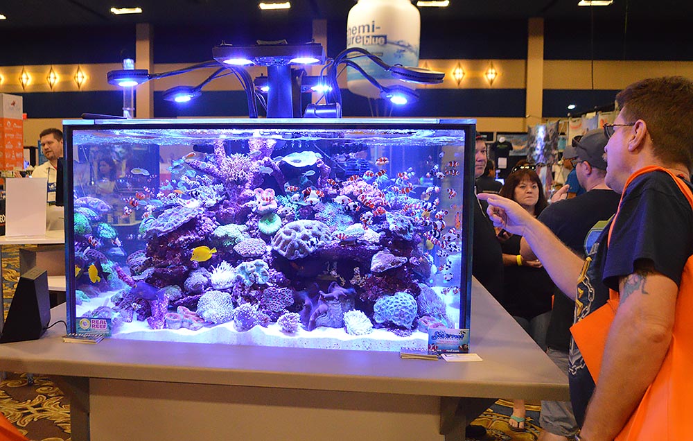 The talk of the show, was this square footprint, 360-degree viewable display showcased by Neptune Systems.