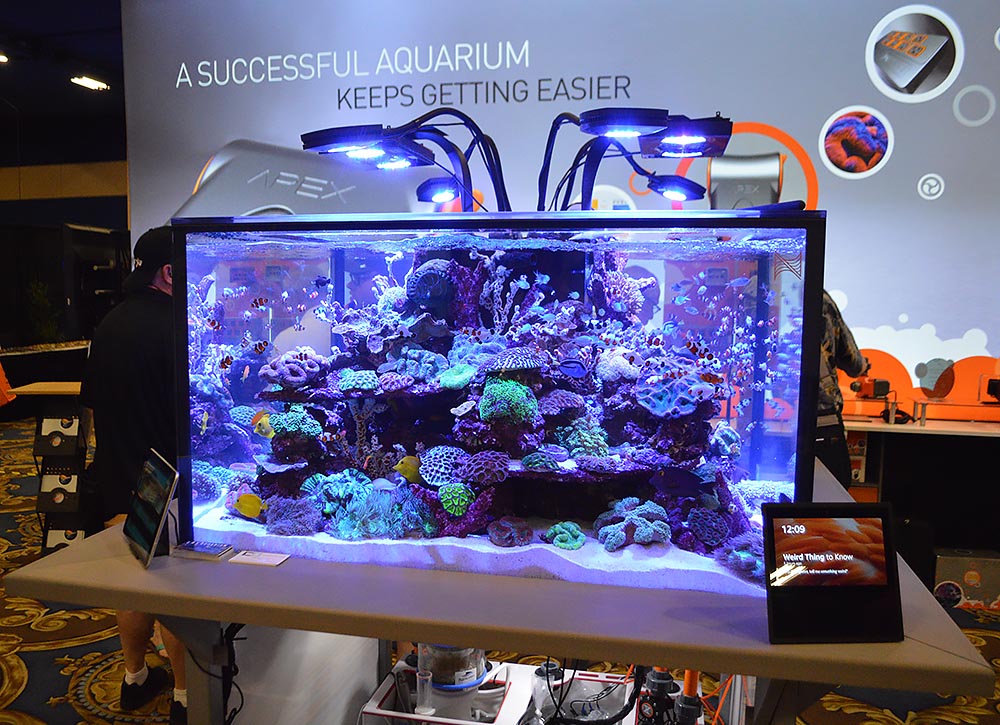 A view from the front: Neptune Systems' large and impressive reef aquarium display.