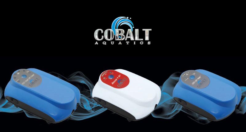 Cobalt's new line of DC USB rechargeable battery-powered air pumps may be the difference between success and disaster during a power outage.