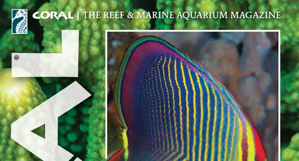 CORAL Magazine Table of Contents November/December 2018