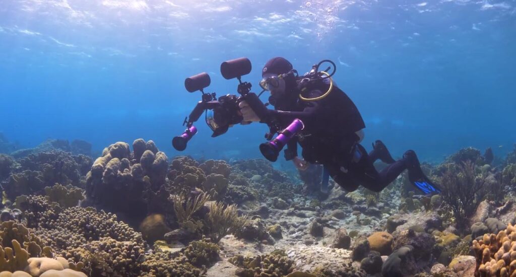 Many CORAL readers are also avid divers. If you're considering adding underwater photography and videography to your diving experience, Reef Patrol's new series of underwater filming tips will be incredibly helpful.