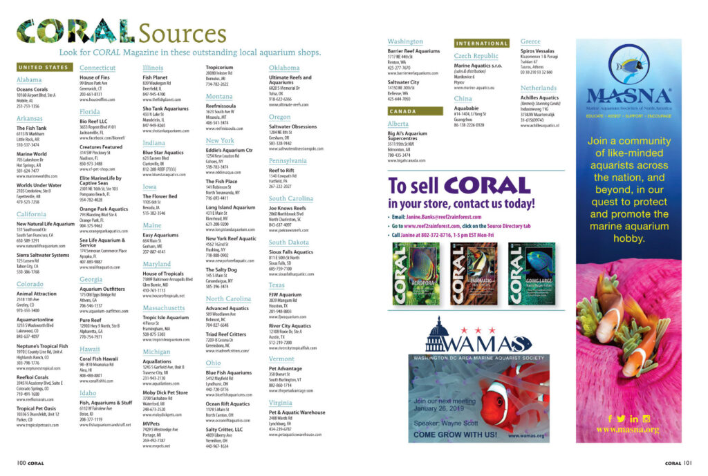 Have some extra holiday cash in your pockets to start off the New Year? Check out the very best local fish shops around the county in our Sources directory. If they're smart enough to carry CORAL Magazine in their shops, you know they value the same things that make you a CORAL reader! Bookmark the online list for your next fish shop road trip!