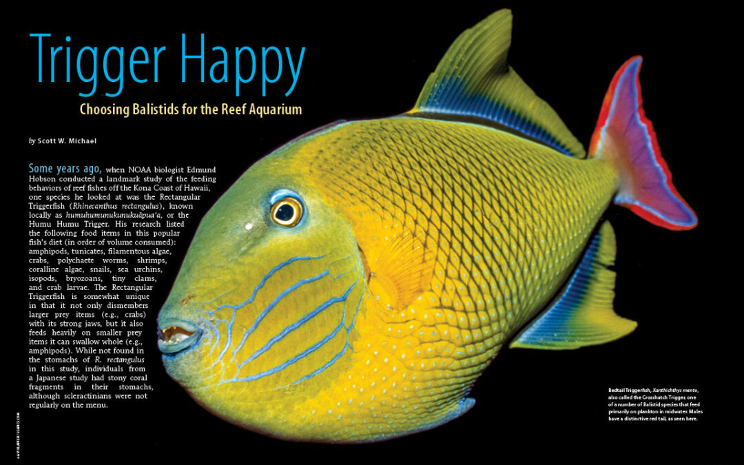 CORAL Magazine New Issue “REEF TRIGGERS” Inside Look