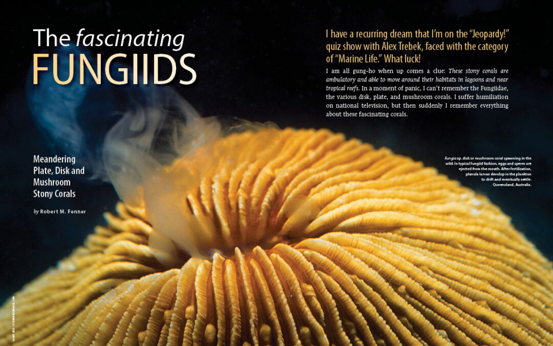 CORAL Magazine New Issue “FROGFISHES” Inside Look