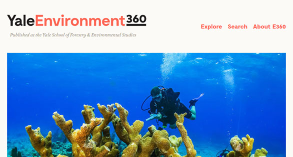 Yale Environment 360 Highlights Scramble to Save Coral Reefs