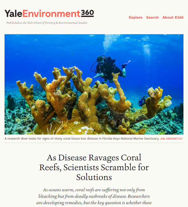As Disease Ravages Coral Reefs, Scientists Scramble for Solutions - read the article from Yale Environment 360.
