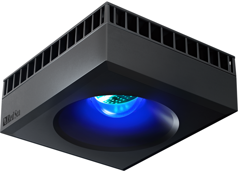 Red Sea's new ReefLED reef aquarium lighting option boasts a highly tuned spectrum and easy-to-set-up capabilities.