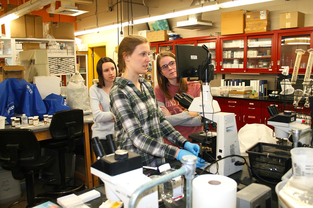 Sara Hunt, a lead author on the report and senior biology and chemistry double major at RWU, demonstrates how to examine the fish blood specimen under a microscope to undergraduate student researchers in RWU's Wet Lab.