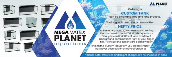 Planet Aquariums and DFW Aquarium Supply launch Mega Matrix Aquariums line, aiming to bring quality custom tanks to the market without the custom price tag!