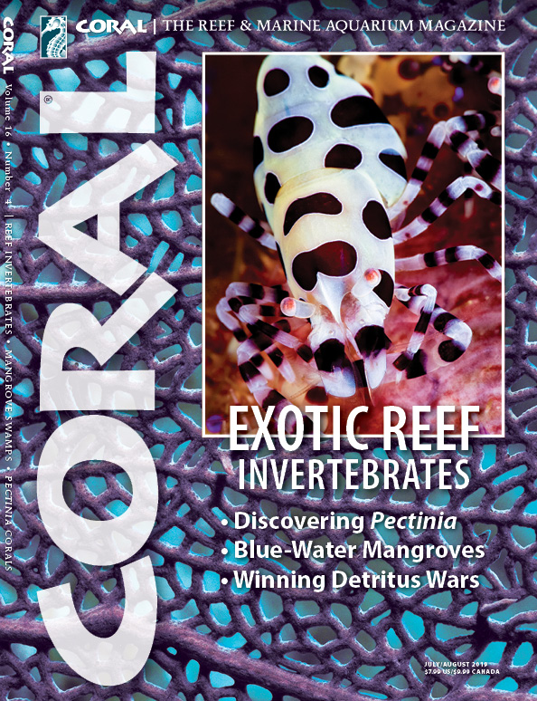 The cover of CORAL Magazine Volume 16, Issue 4 – EXOTIC REEF INVERTEBRATES! – July/August 2019. On the cover: Coleman's Urchin Shrimp, Periclimenes colemani, on a fire urchin, Asthenosoma varium, by John Muhilly/Seapics.com. Background: Purple Sea Fan, Gorgonia ventalina, Beth Swason/Shutterstock.