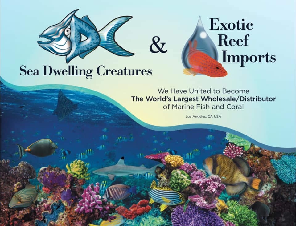 California-based marine aquarium livestock importers and wholesalers Sea Dwelling Creatuers and Exotic Reef Imports announce a planned merger.