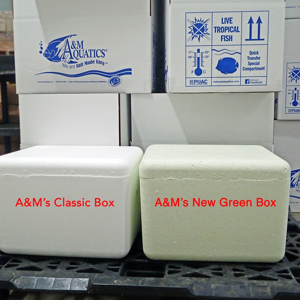 A&M Aquatics' new shipping styros are a bit greener, both literally and figuratively.