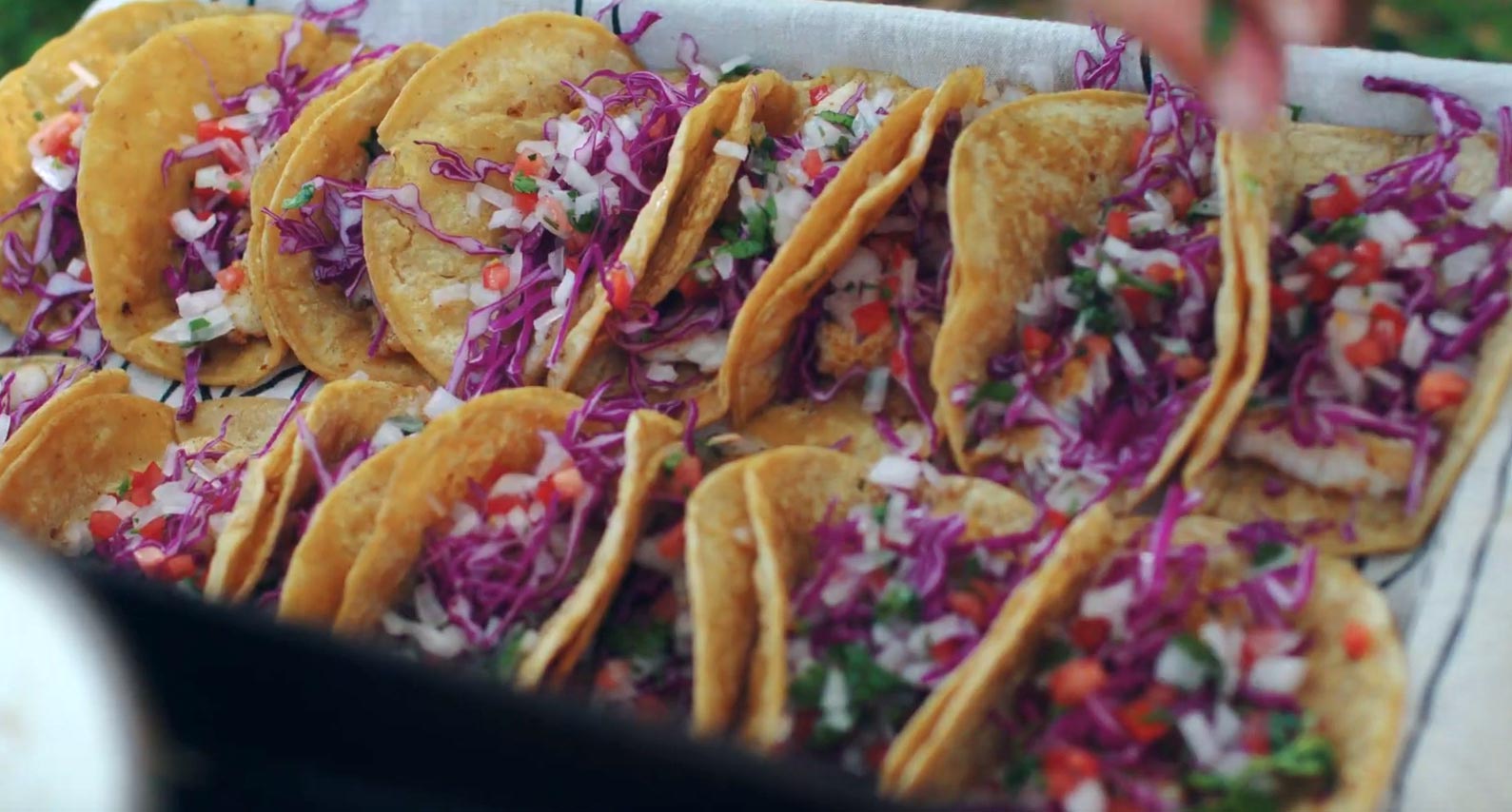 Getting hungry? Some delicious-looking lionfish tacos are served up!