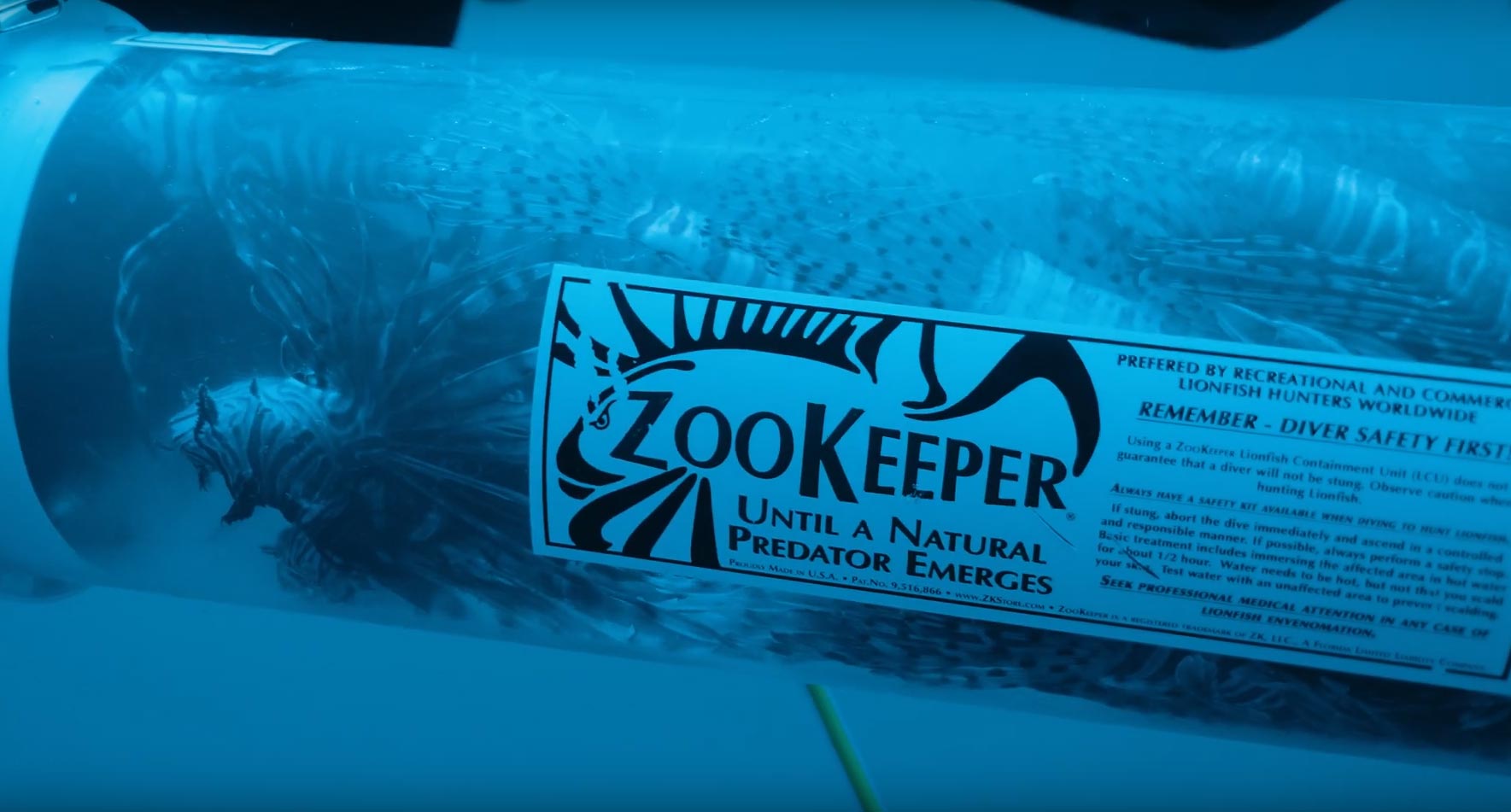 Spearfishermen use readily-available specialized equipment, such as this ZooKeeper, to store their catch while diving.