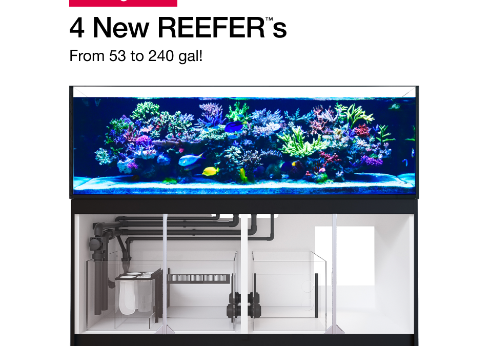 4 New XL Red Sea Reefer Aquariums