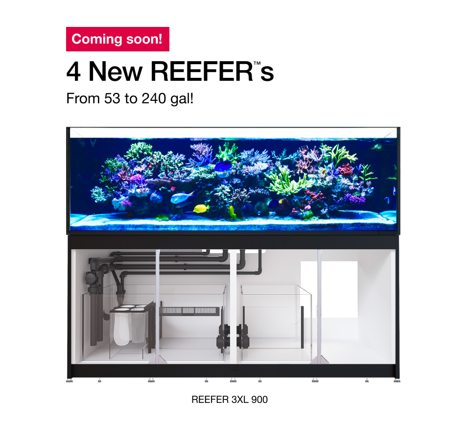 Get a glimpse at the new flagship 240 gallon Red Sea Reefer 3XL 900, one of 4 new models announced by Red Sea. 