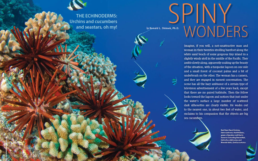 CORAL Magazine New Issue “SPINY WONDERS” Inside Look