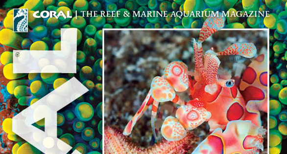 CORAL Magazine Table of Contents March/April 2020