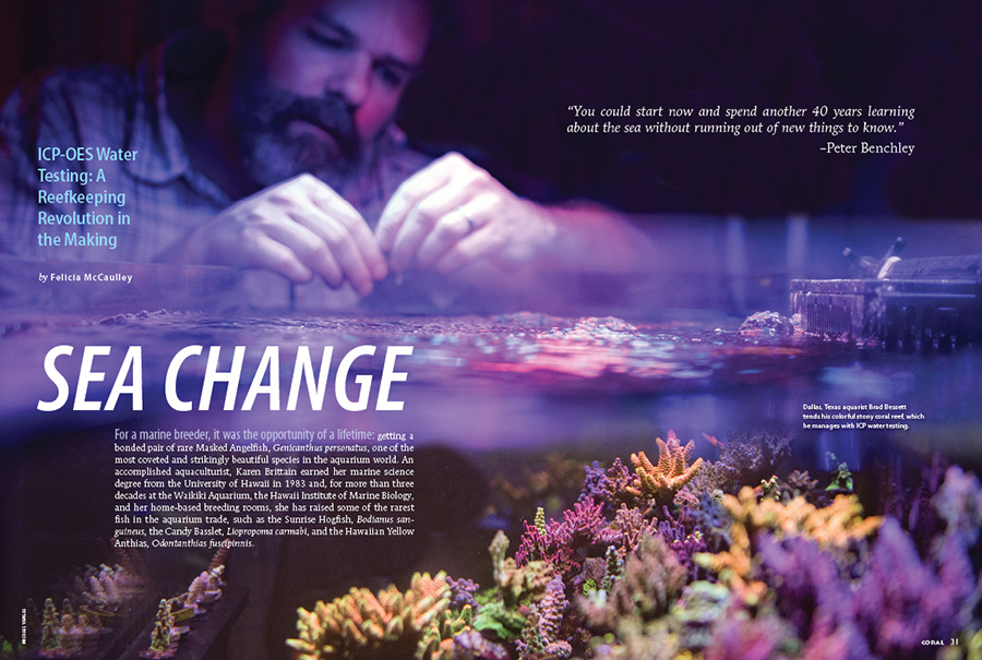 CORAL Magazine New Issue “SEA CHANGE” Inside Look