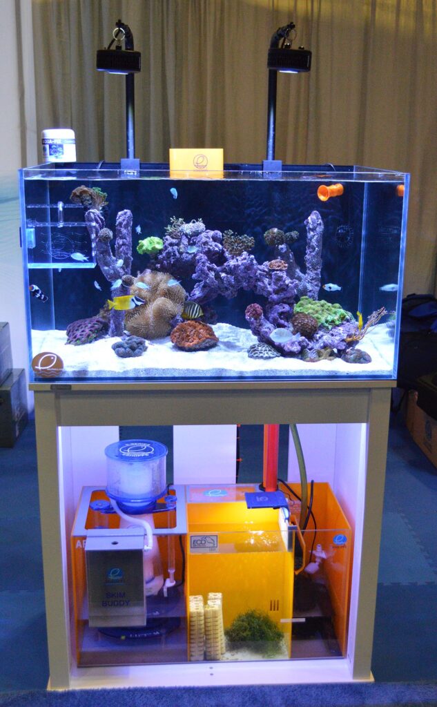 This display reef from Eshopps showcased their entire line of aquarium products!