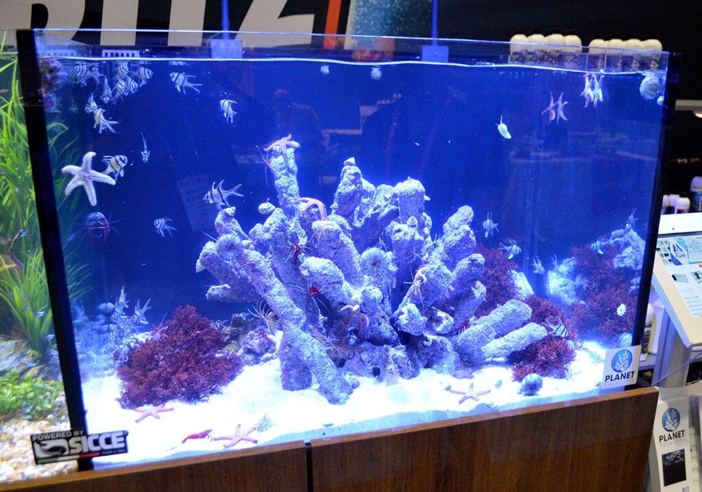 The marine side was one of the more unique marine aquascapes seen at the show.