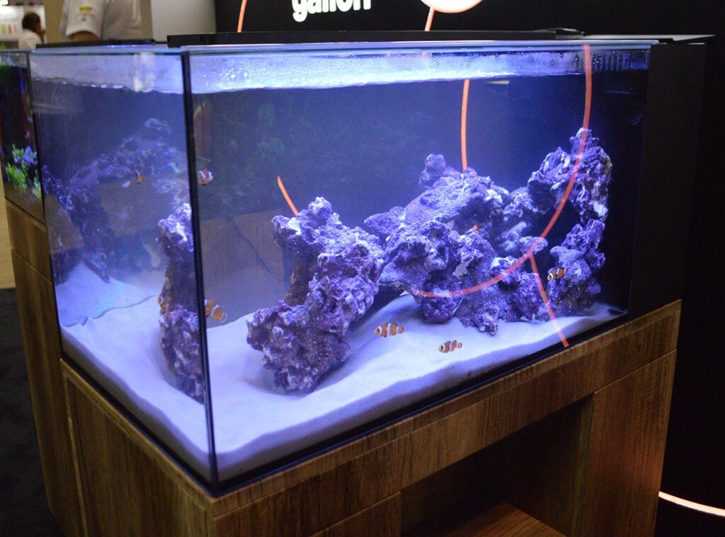 A 25 gallon saltwater aquarium put on display by Marineland.