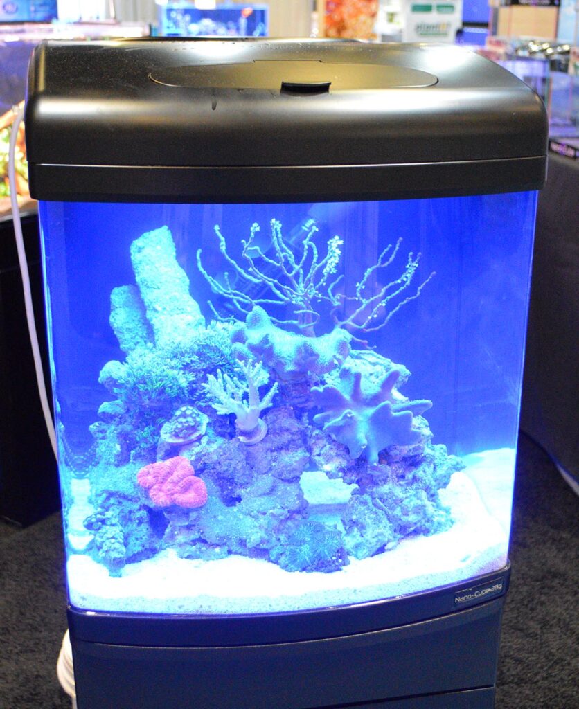 JBJ's classic Nano-Cube, set up as a reef aquarium.