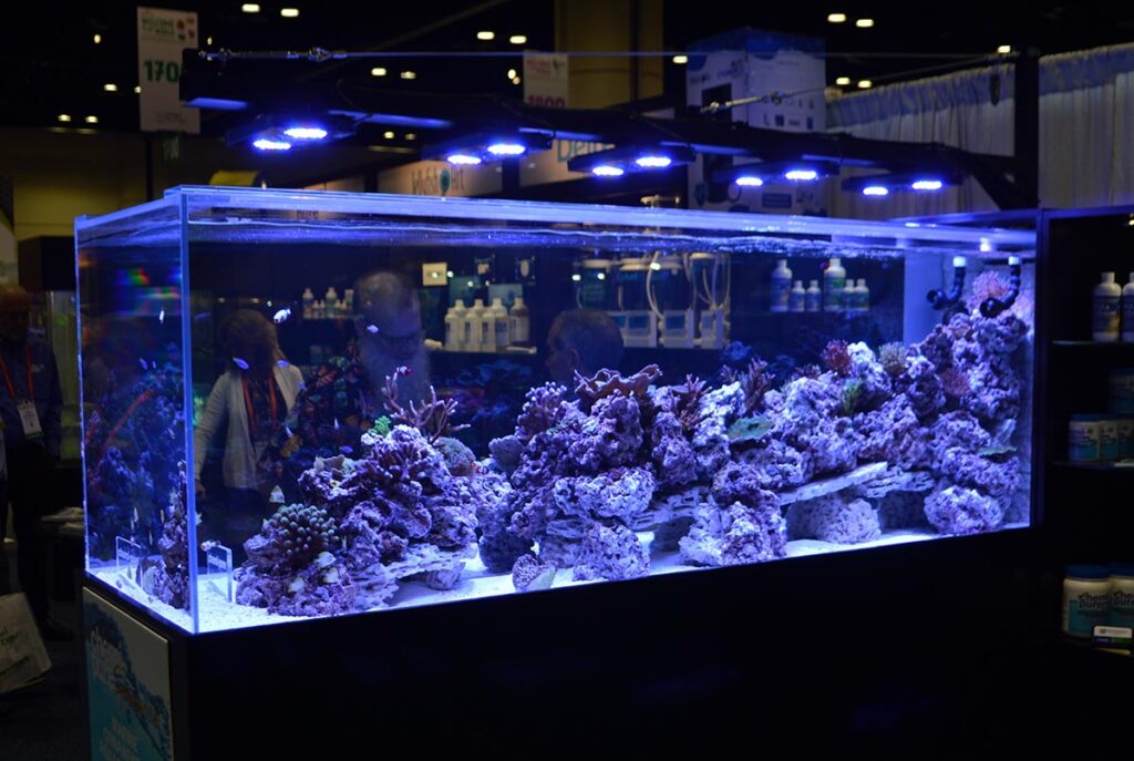 Reef Aquaria Design (RAD) and their 500 gallon all-cultivated reef aquarium always demands several minutes of attention.