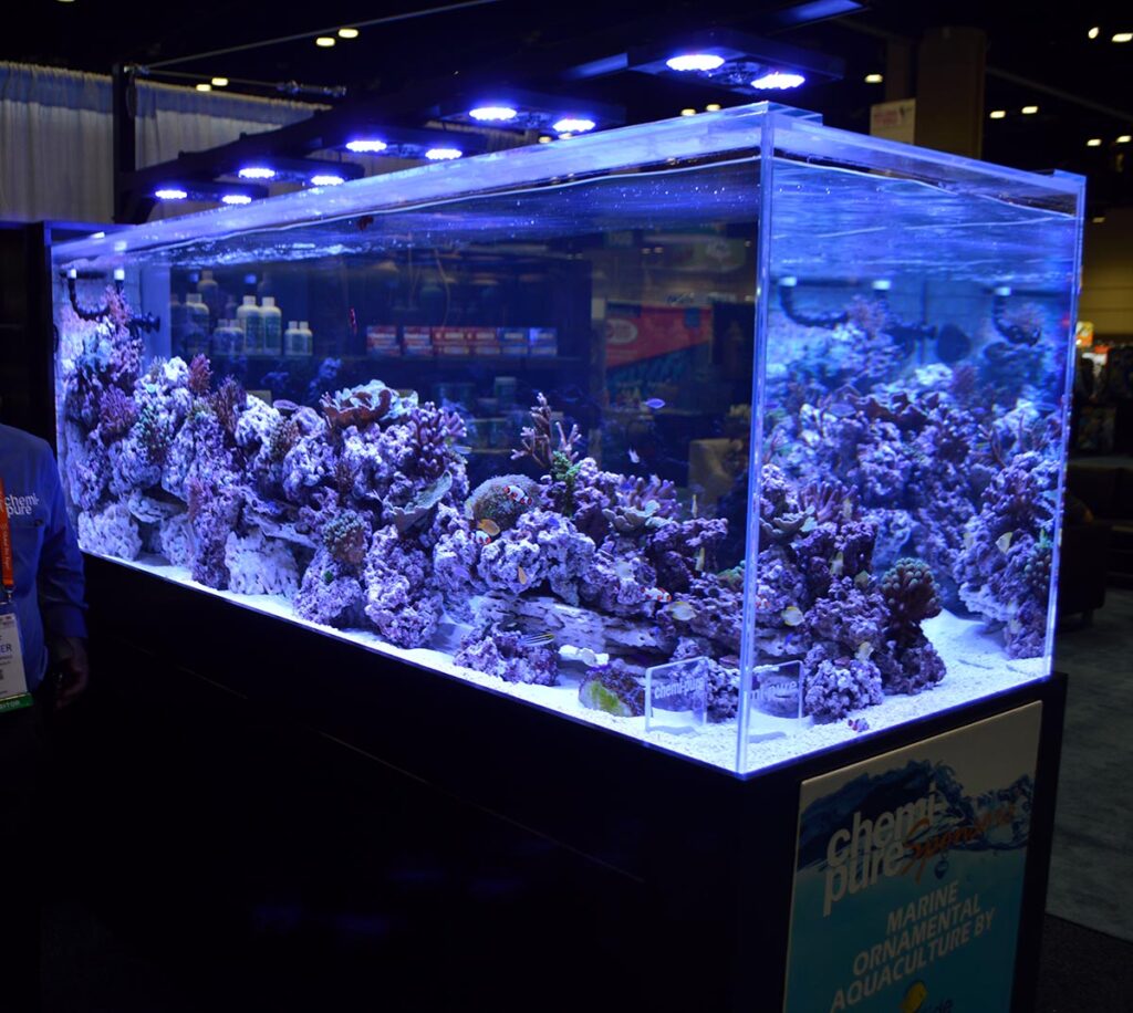 The tank features Radion Lighting, and many captiv-bred and farmed livestock examples from ORA, Biota, and others!