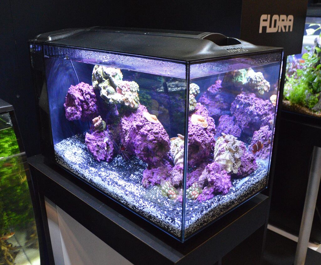 Fluval's 13.5 gallon EVO marine aquarium was on display. It is viewable from three sides, effectively a mini/desktop peninsula aquarium.