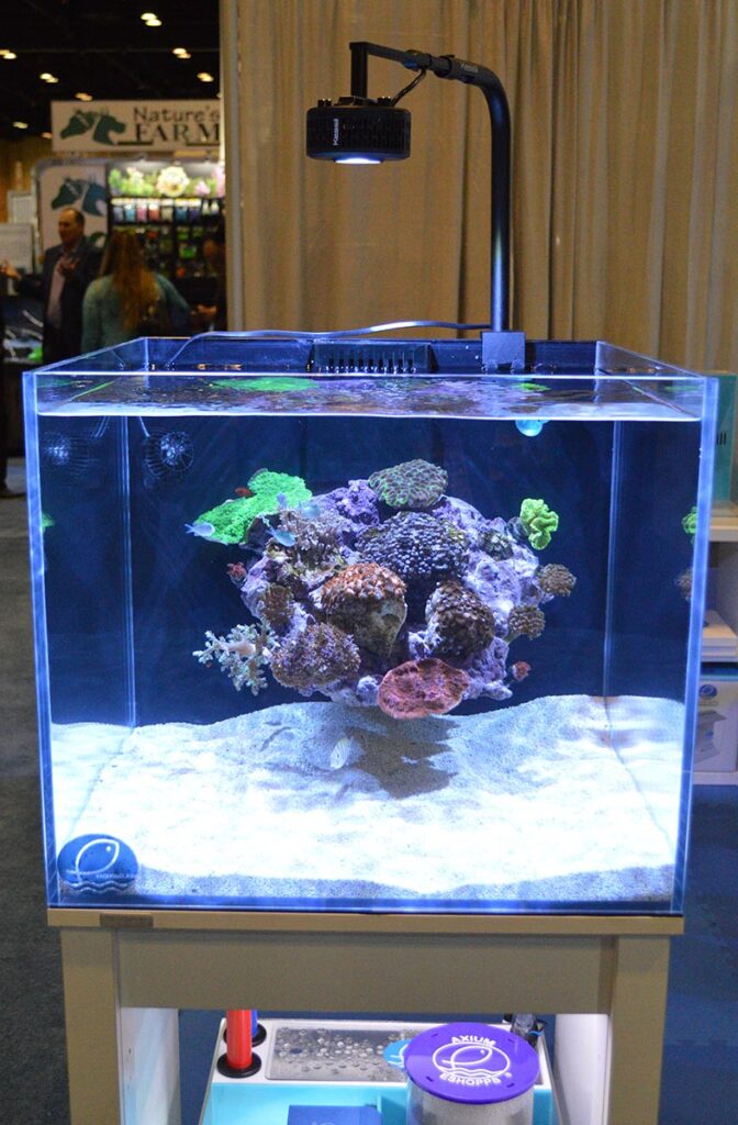 This cube reef, a second display tank at Eshopps, caught the attention of many with an lesser seen aquascaping approach.