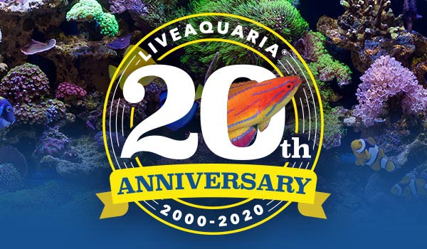 Confirmed: Petco to Sell LiveAquaria to Third Party