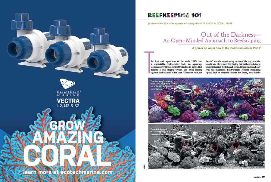 Daniel Knop and the CORAL staff will bring your reef tank out of the darkness with an open-minded approach to reefscaping that that incorporates strategically placed circulation pumps to help eliminate particulate organic matter from your reef tank. See the tips and tricks in our Reefkeeping 101 column.
