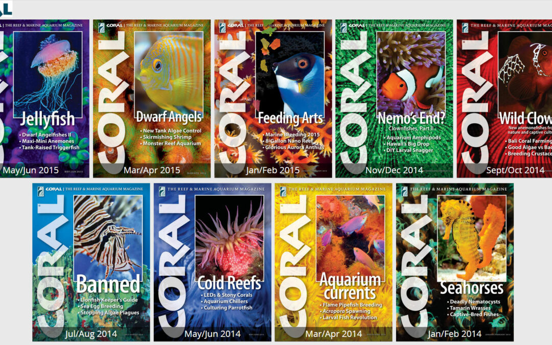 Did You Know? Digitally Search CORAL Magazine