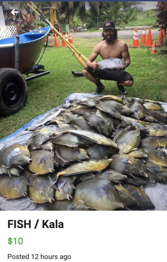 Unicorn Tangs, harvested and apparently being sold via online markets. It is legal to catch and kill these as a recreational fisherman, but absolutely prohibited to sell them in the aquarium trade, still alive, where they are worth far more to everyone involved. Image from recent online ad posting.
