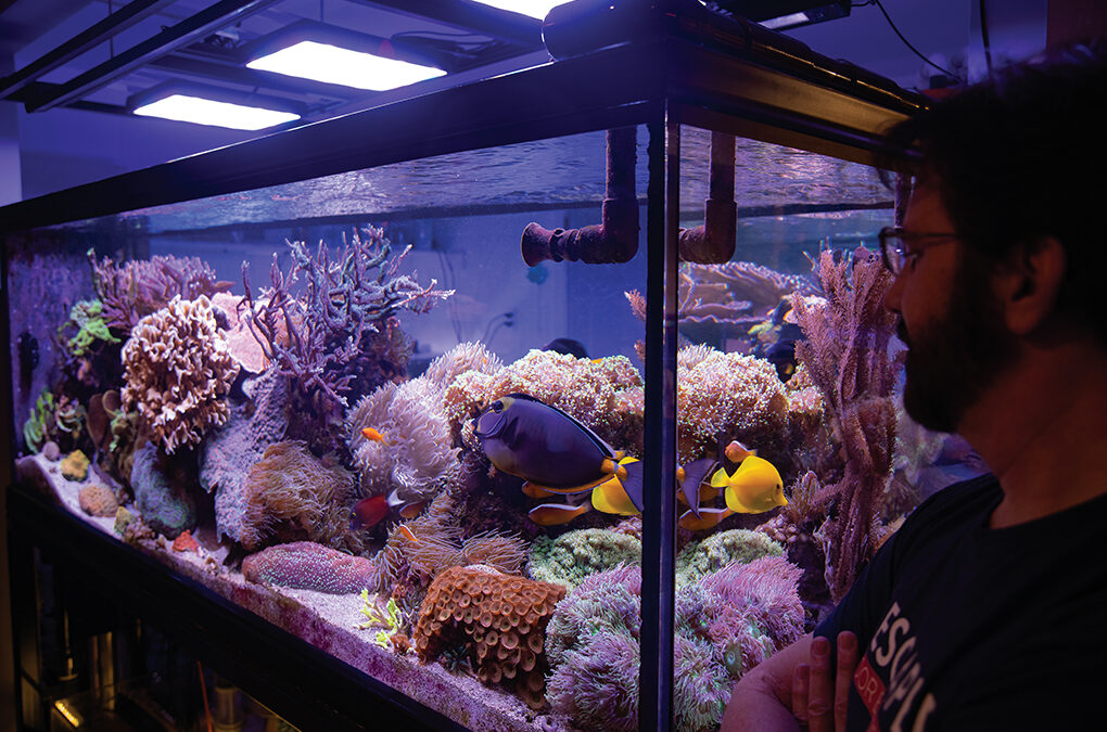 Aquarium Portrait: Melev’s Reef