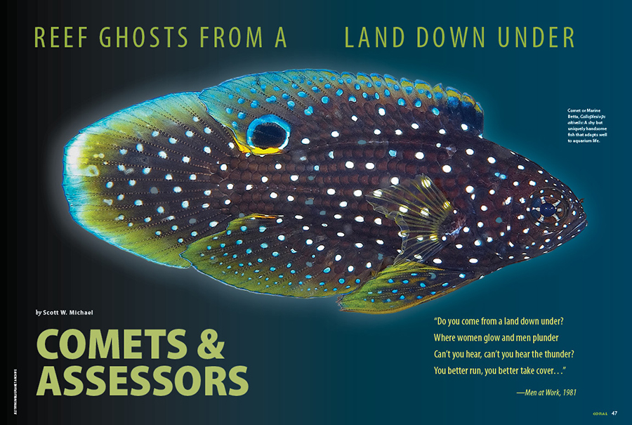 CORAL New Issue “REEF GHOSTS” Inside Look