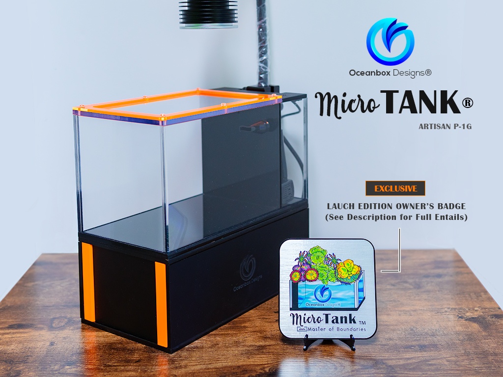 Oceanbox Designs MicroTank Artisan P-1G Micro AIO Aquarium - CORAL