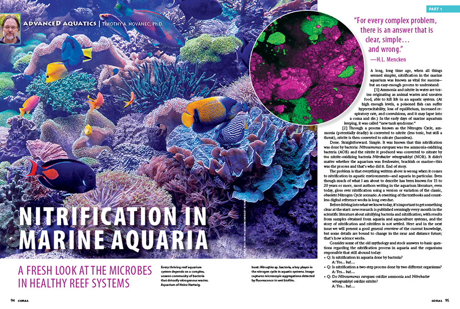 Nitrification in Marine Aquaria – Part 1
