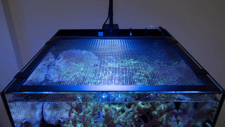 Waterbox Aquariums Introduces Recessed Screen Aquarium Lids