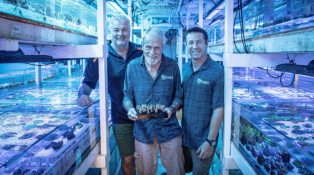 Drawing board to reality: Full-tilt forward on a “BioBank” of all reefbuilding coral species