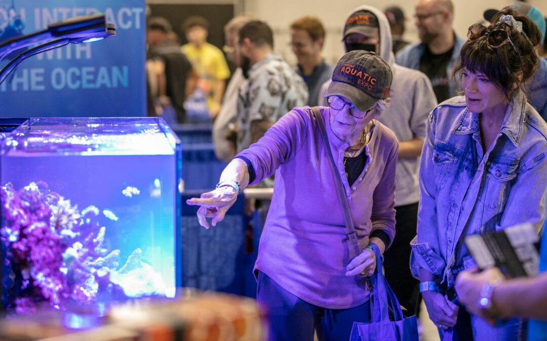 Initial Impressions of MASNA’s First-Ever Aquatic Expo