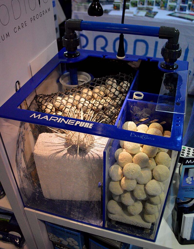 A beautiful Bashsea sump showcases many of the ways that MarinePure media can be utilized.