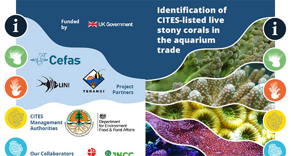 Comprehensive CITES Coral ID Guide Now Available
