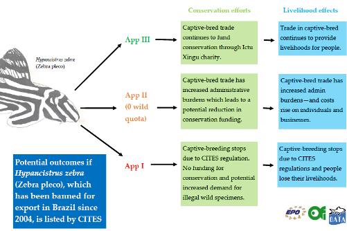 OATA Joins Fellow Pet Trade Associations at CITES CoP19