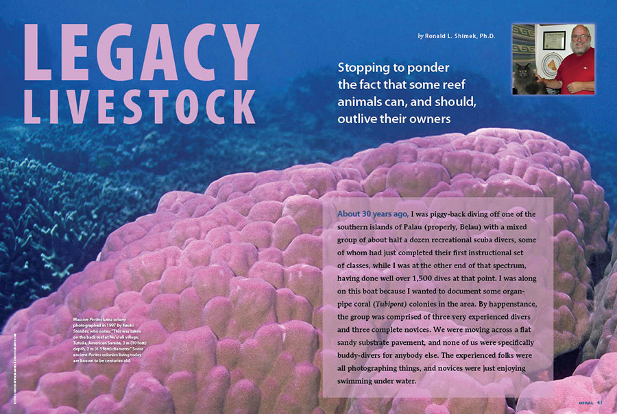 References: Legacy Livestock