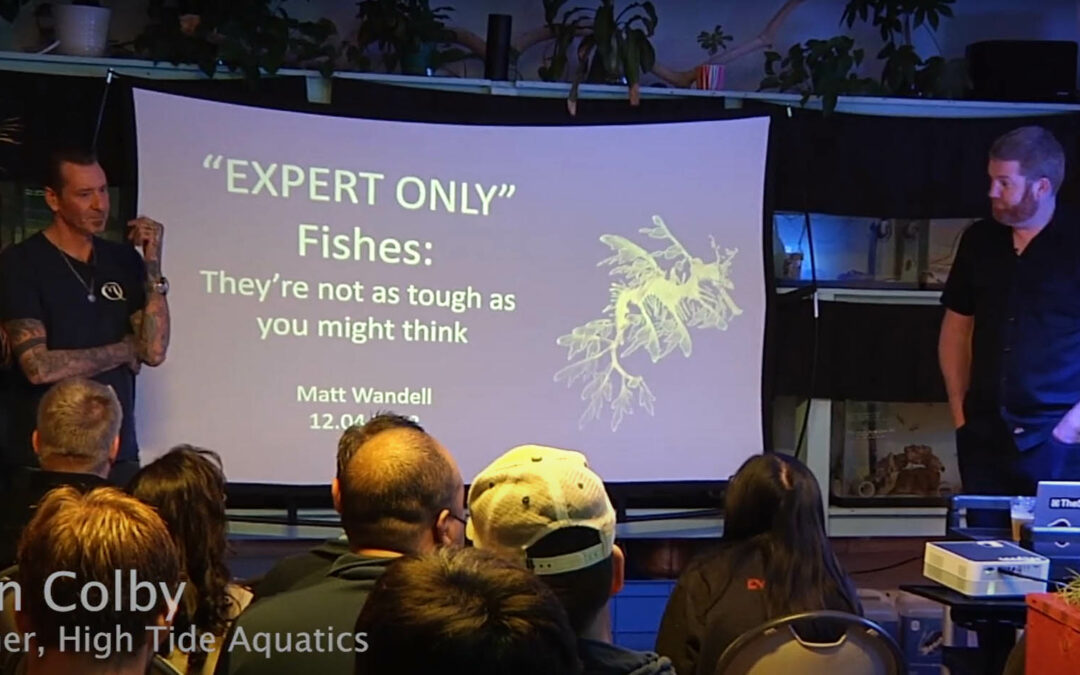 VIDEO: Matt Wandell on Expert Only Fishes