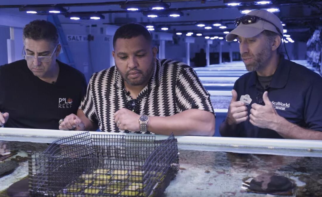 VIDEO: Polo Reef’s Exclusive Florida Coral Rescue Center Program
