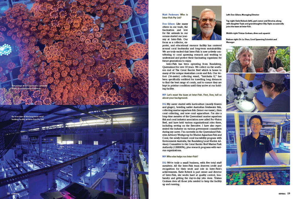 See these images from "Smashing Flowerpots: Sexual Propagation Success with Goniopora Corals" in even higher quality in the CORAL Magazine Digital Edtion or in a print copy of the July/August 2023 issue of CORAL.