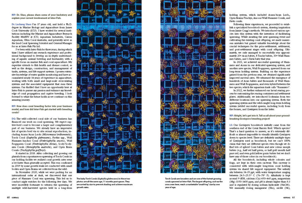 See these images from "Smashing Flowerpots: Sexual Propagation Success with Goniopora Corals" in even higher quality in the CORAL Magazine Digital Edtion or in a print copy of the July/August 2023 issue of CORAL.